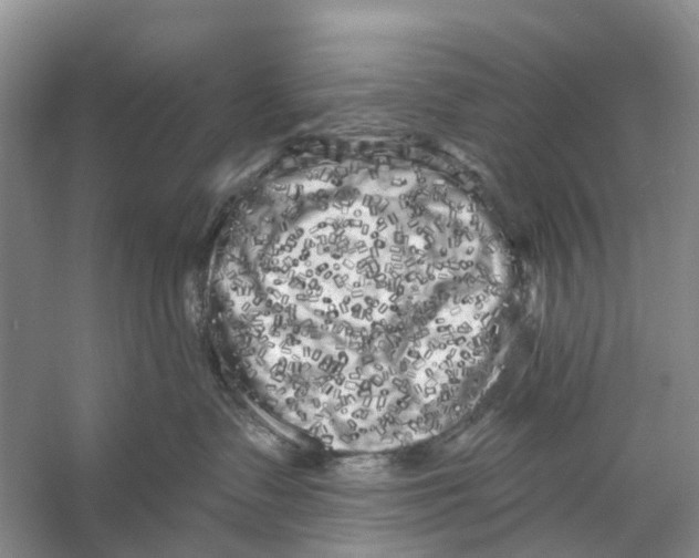 X0000053140335200508081351