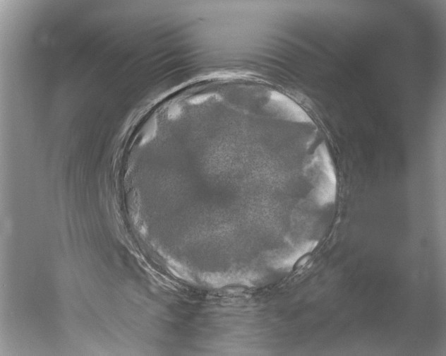X0000053140337200508081350