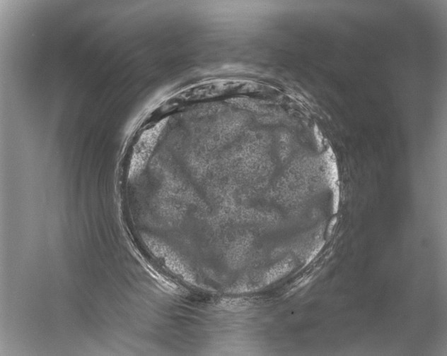 X0000053140341200508081350