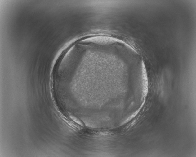 X0000053140342200508081350