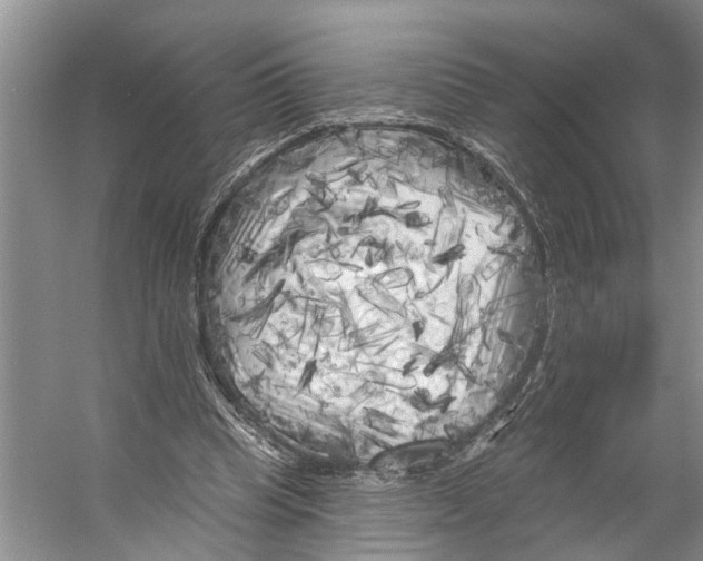 X0000053140345200508081350