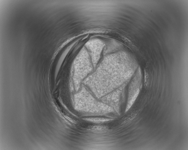 X0000053140348200508081350