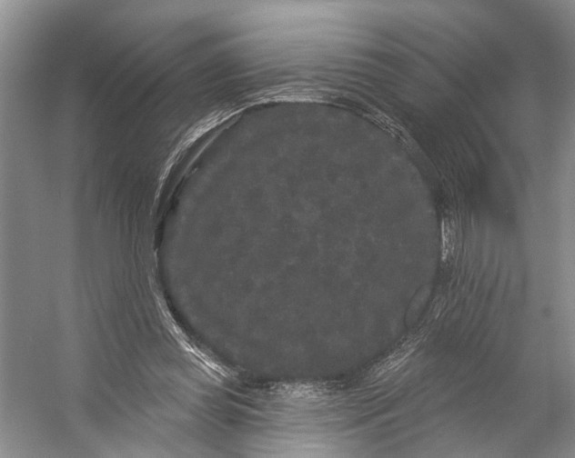 X0000053140349200508081350