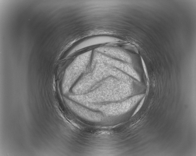 X0000053140352200508081350