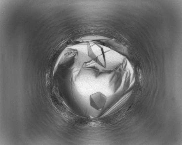 X0000053140364200508081350