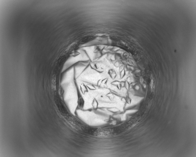 X0000053140368200508081350