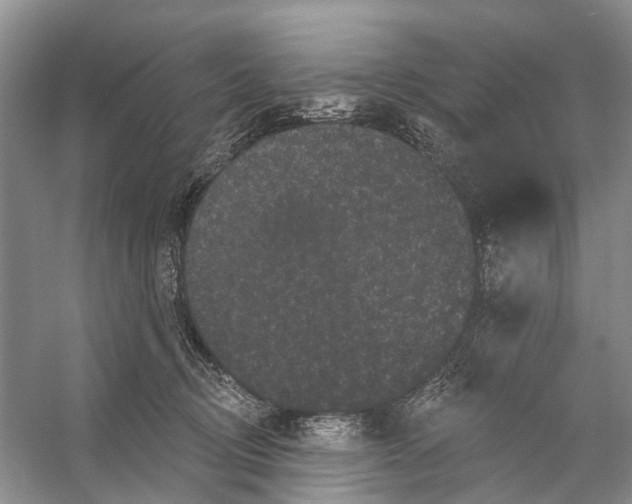 X0000053140370200508081350