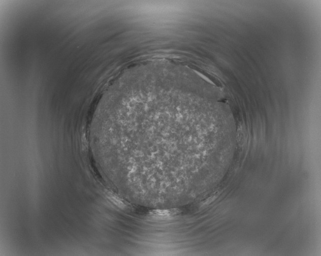 X0000053140381200508081351