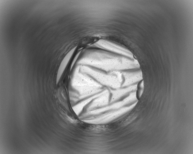 X0000053140384200508081351