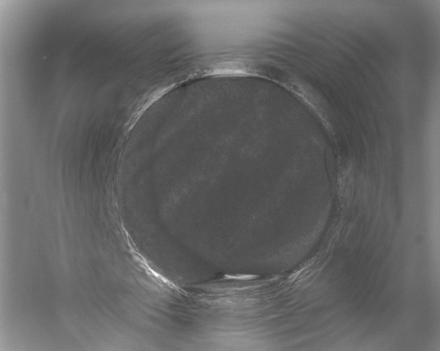 X0000053140385200508081350