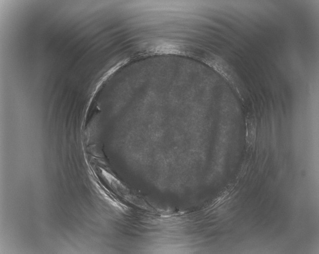 X0000053140390200508081350