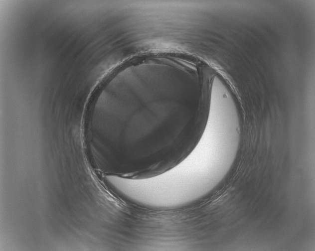 X0000053140391200508081350