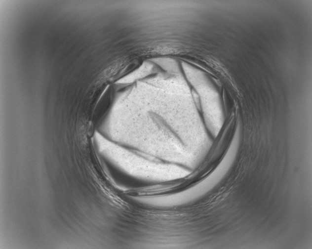 X0000053140393200508081350