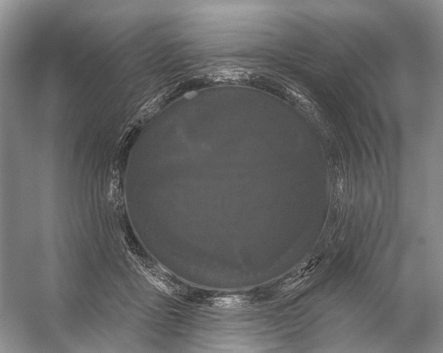 X0000053140411200508081349
