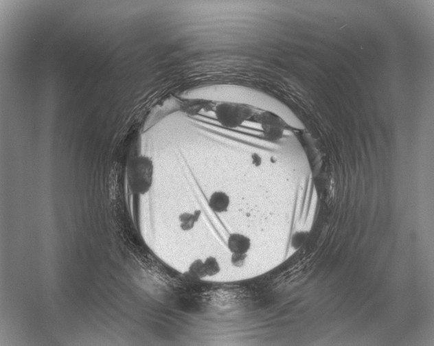 X0000053140412200508081349
