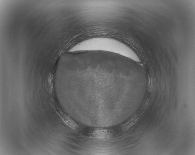 X0000053140413200508081349