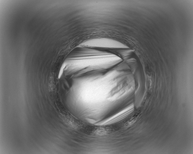 X0000053140416200508081349