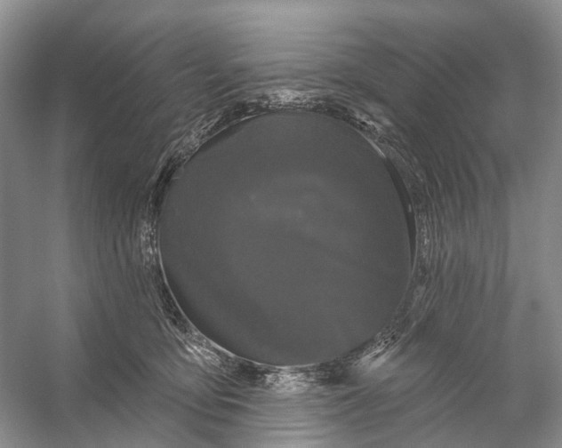 X0000053140419200508081349