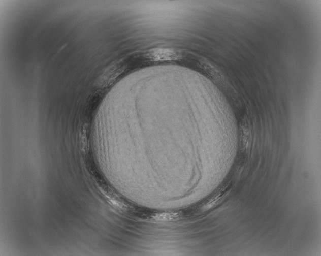 X0000053140422200508081349