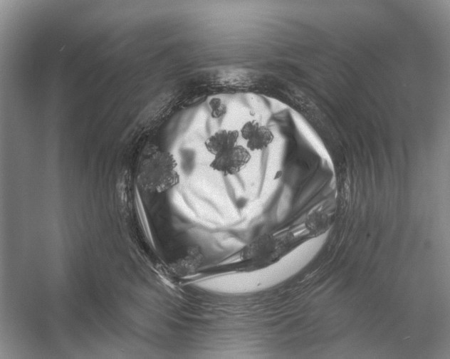 X0000053140424200508081349