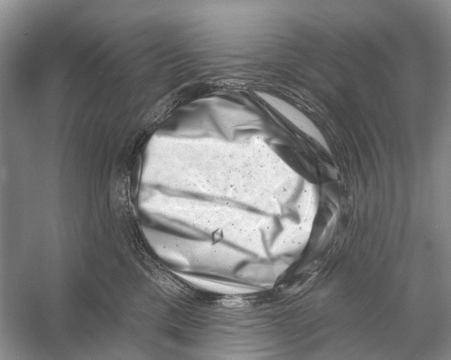 X0000053140425200508081349