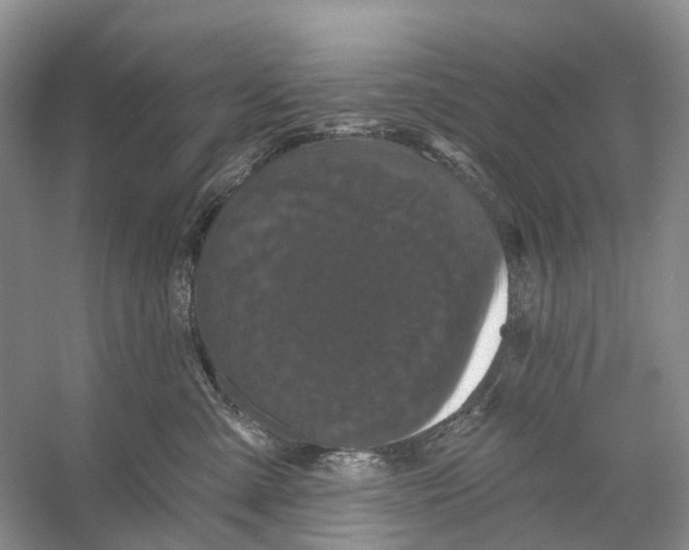 X0000053140427200508081349