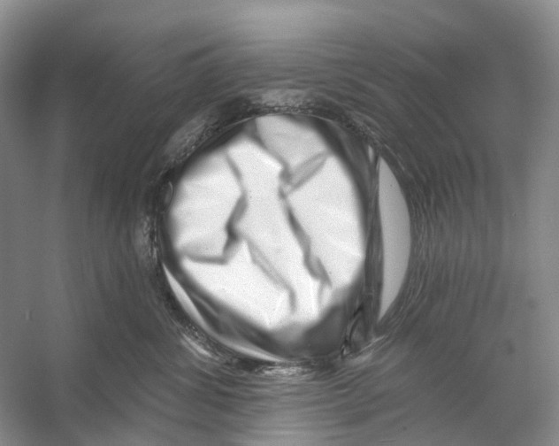 X0000053140428200508081349