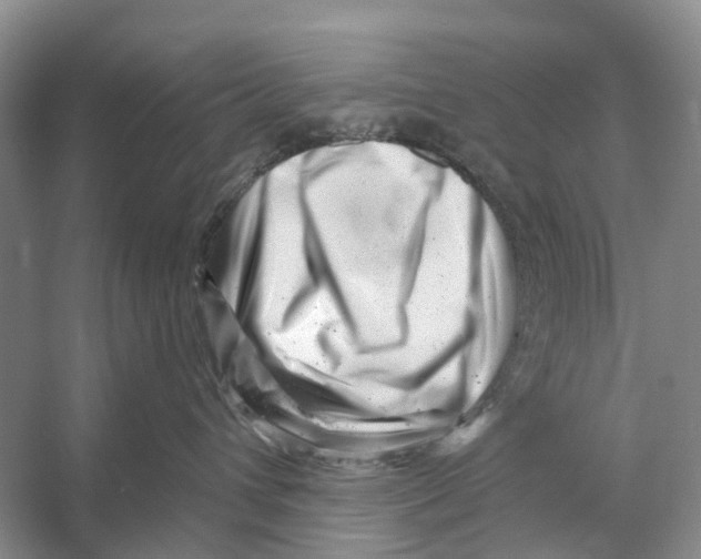 X0000053140432200508081349