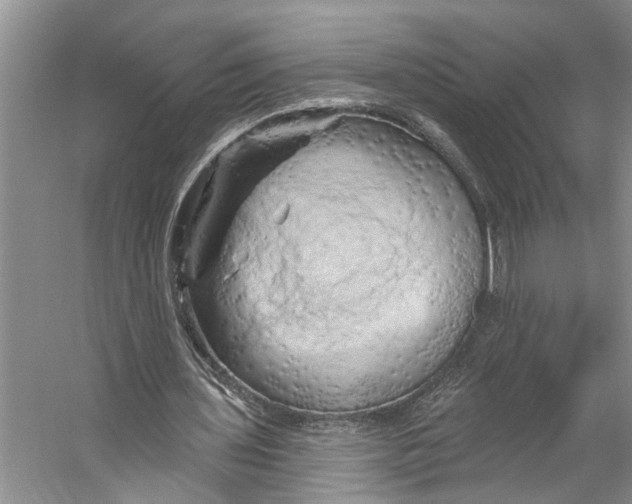 X0000053140435200508081348