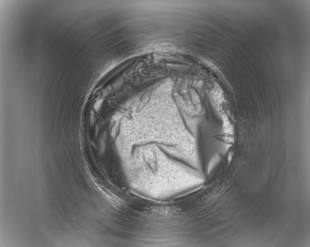 X0000053140439200508081348