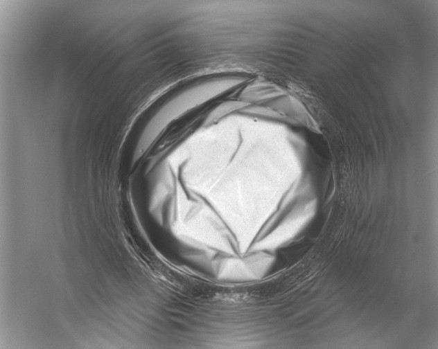 X0000053140440200508081348