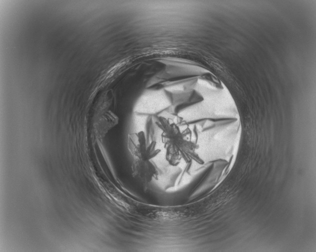 X0000053140442200508081348
