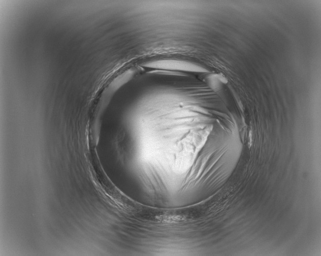 X0000053140448200508081348