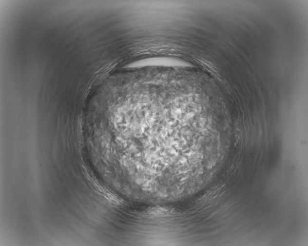 X0000053140453200508081349