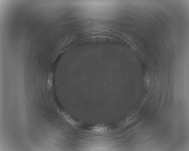 X0000053140458200508081349