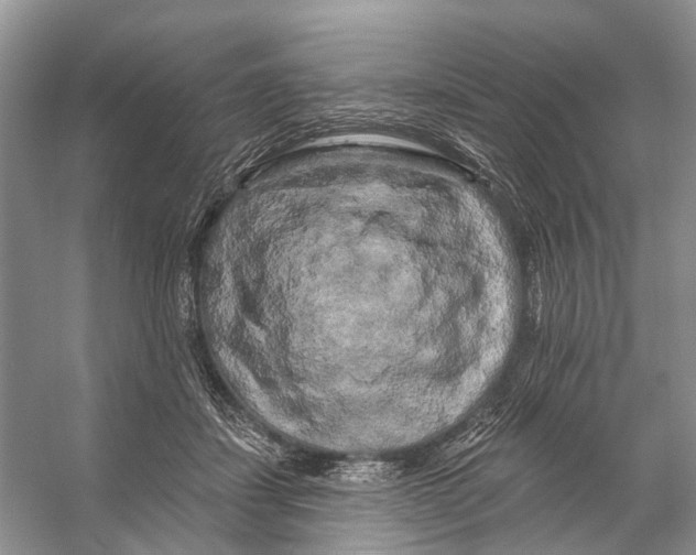 X0000053140459200508081349
