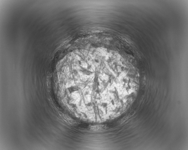 X0000053140461200508081349