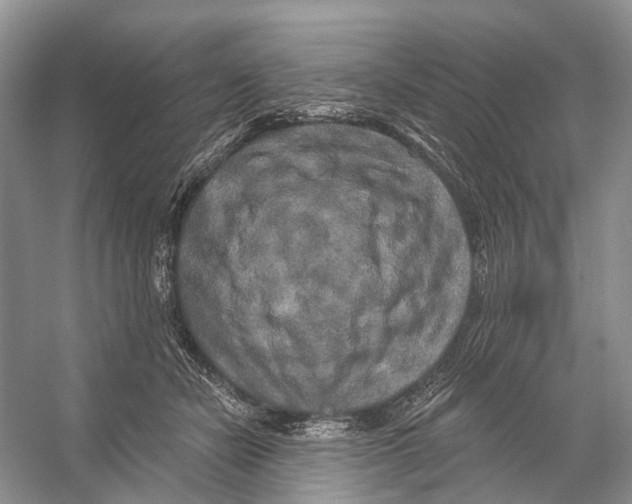 X0000053140462200508081349