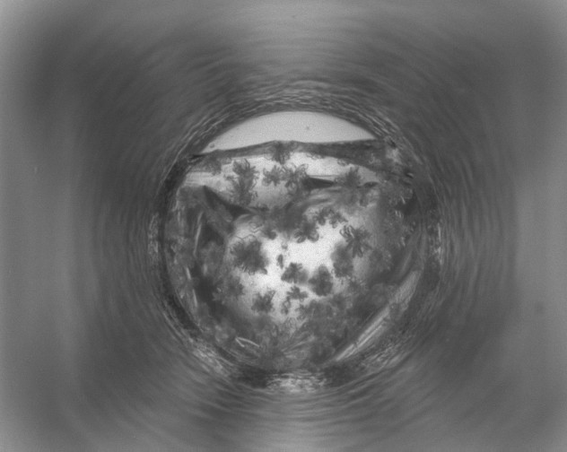 X0000053140466200508081349