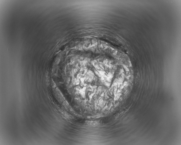 X0000053140469200508081349