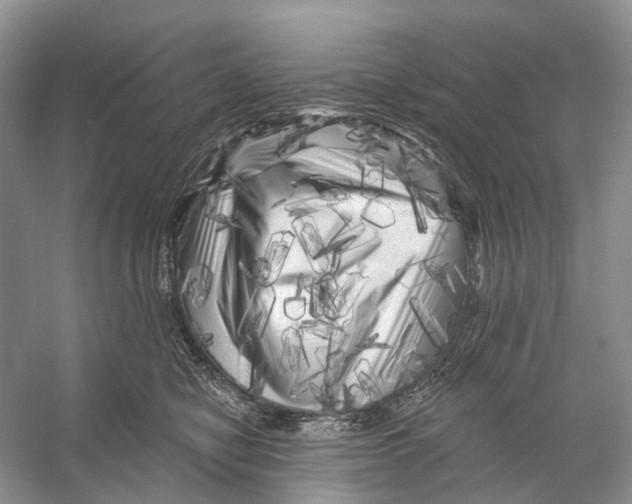 X0000053140470200508081349