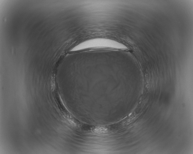 X0000053140471200508081349