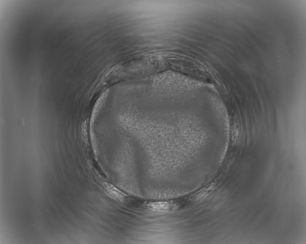 X0000053140473200508081349