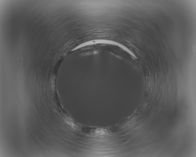 X0000053140475200508081349