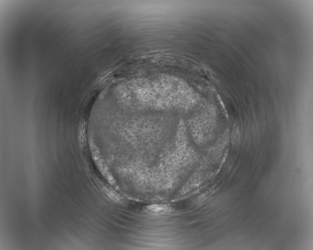X0000053140477200508081349