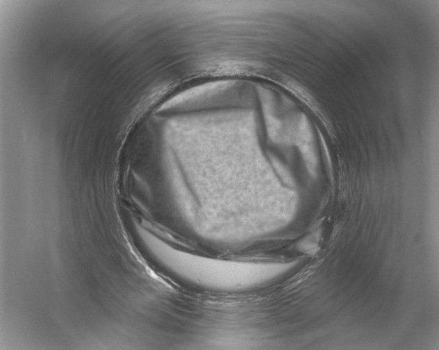 X0000053140485200508081348