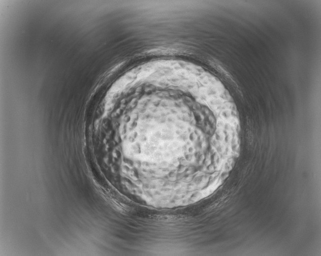 X0000053140486200508081348