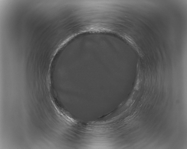 X0000053140488200508081348