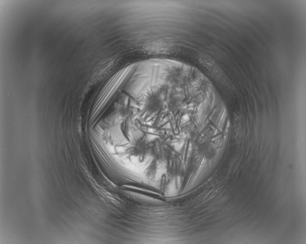 X0000053140494200508081348