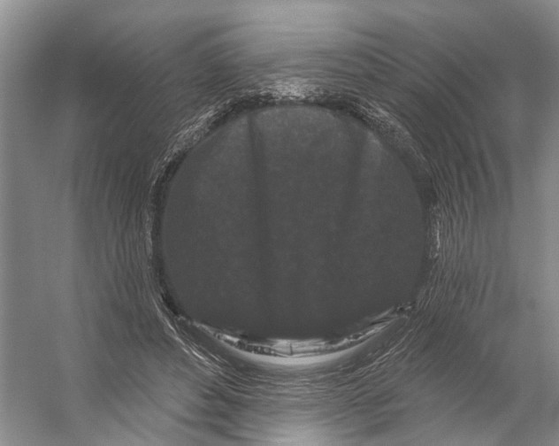 X0000053140496200508081348